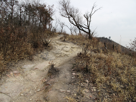 20140125hike (350)